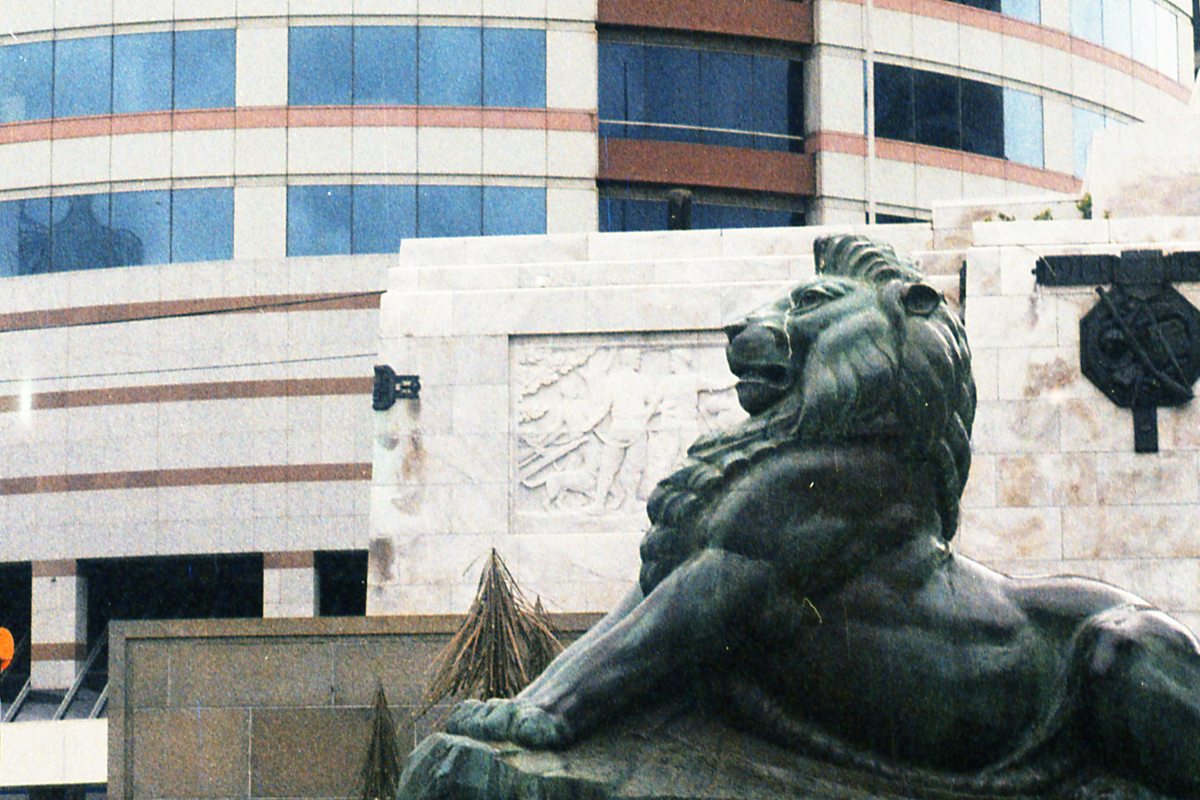 Film photograph 9
