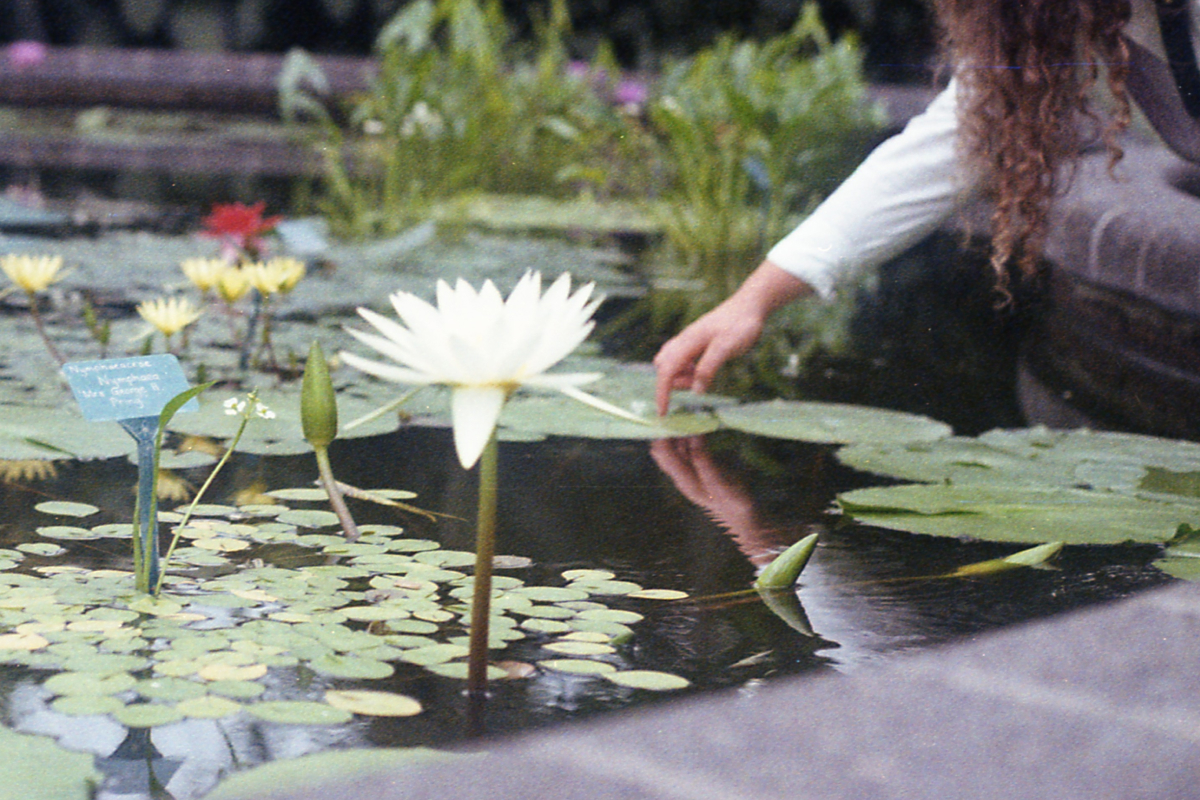 Film photograph 6